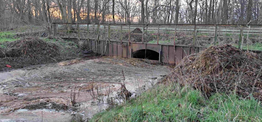 Wasserstand der Wippinger Dever am 20.12.2024