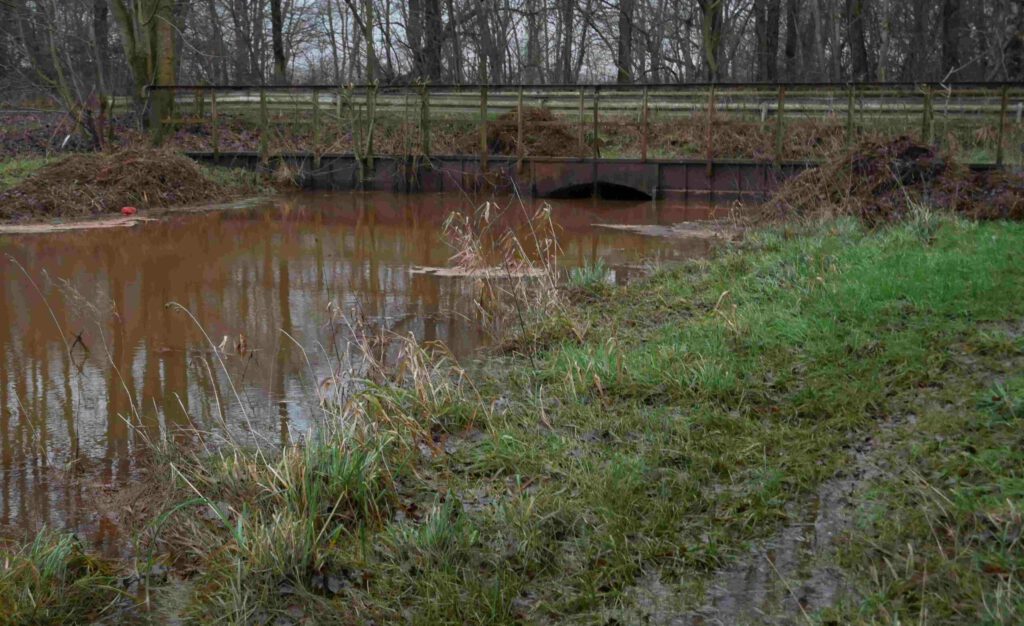 Wasserstand der Wippinger Dever am 30.12.2024