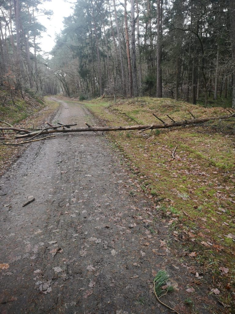 Wanderweg Wippingen